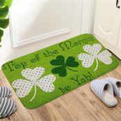 Amazon: Non-Slip Doormats $3.99 After Code (Reg. $19.95) + Free Shipping