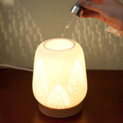 Amazon: Ceramic Electric Essential Oil & Candle Warmer $7.99 After Code...