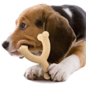 Amazon: Nylabone Flavored Wishbone Dog Dura Chew as low as $3.51 (Reg....