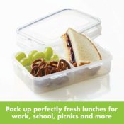 Amazon: Lock & Lock On The Go Divided Container $3.77 (Reg. $9) - FAB...