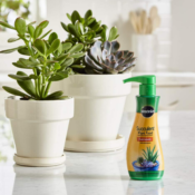 Amazon: Miracle-Gro Succulent Plant Food, 8 oz. $4.28 (Reg. $7.24) - FAB...