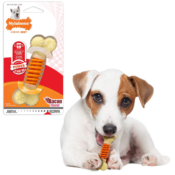 Amazon: Nylabone Dental Chew Bacon Flavored Pro Action Bone Dog Chew Toy...