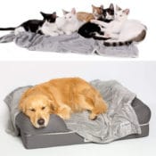 Today Only! Amazon: PetFusion Dog Beds and Premium Pet Blankets from $12.76...