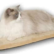 Amazon: Thermo-Kitty Mat Heated Pet Bed $22.69 (Reg. $49.99)