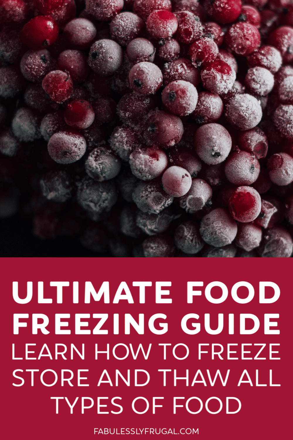 Food freezing guide