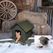 Amazon: Outdoor Heated Cat Shelter Insulated House as low as $30.87 (Reg....