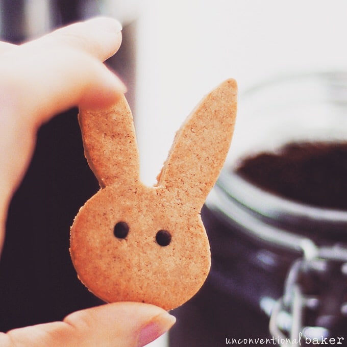 Person holding cinnamon bunny cookie