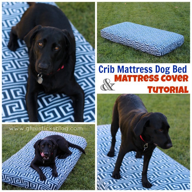 Crib-Mattress-Dog-Bed-