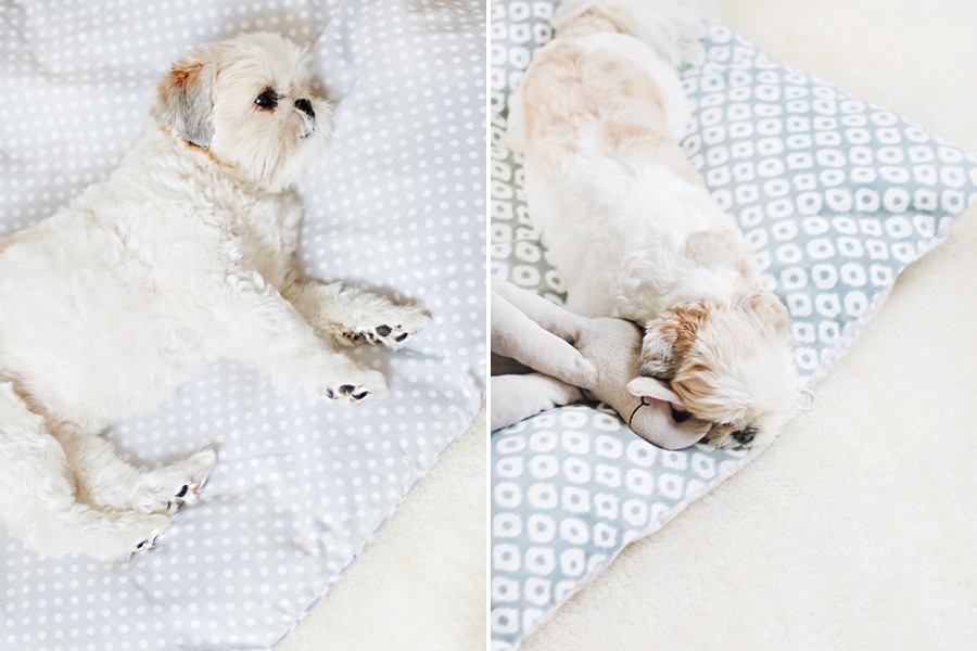 Reversible no-sew pet bed DIY