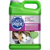 Amazon: Cat's Pride Fresh Scent Pure & Fresh Multi-Cat Clumping Litter,...
