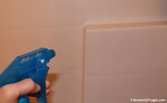 DIY Daily Shower Cleaner Spray Shower