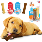 Amazon: Nylabone Puppy Chew & Dura Chew Peanut Butter Bone Twin Pack...