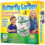 Amazon: Save BIG on Select Butterfly Garden Items from $5.06 (Reg. $6.76+)...