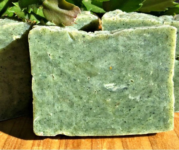 Pine and peppermint soap