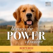Amazon: Burt's Bees Natural Ear Cleaner for Dogs, 4 Fl Oz as low as $1.12...