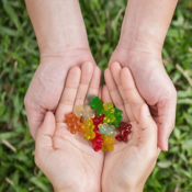 Amazon: Black Forest Gummy Bears Candy, 5 Pound Bag $10.01 (Reg. $15) +...