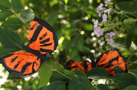Monarch butterflies coffee filter crafts