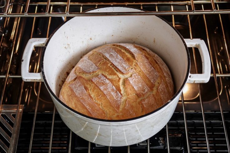 Bread in a dutch oven