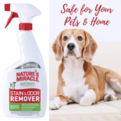 Amazon: Stain & Odor Remover Trigger Spray as low as $3.97 (Reg. $11.99)...