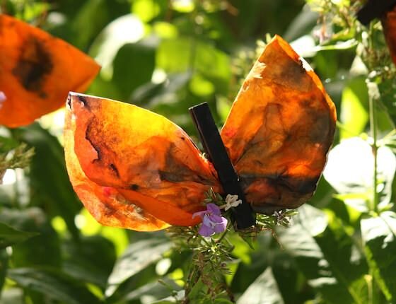 Monarch butterfly coffee filter craft