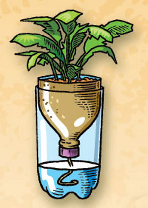 Self watering bottle planter diagram