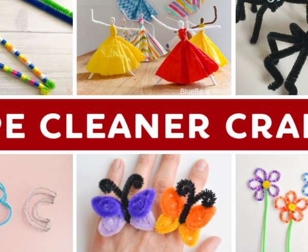 What to make with pipe cleaners