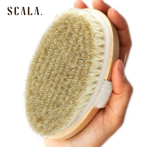 Amazon Wet and Dry Body Brush Exfoliator 6.99 (Reg. 9.99
