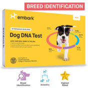 Today Only! Amazon: Embark Dog DNA Test $99 (Reg. $129) + Free Shipping...
