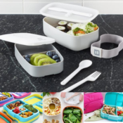 Zulily: Up to 50% Off Bentgo Lunch Containers as low as $11.99 (Reg. $20+)