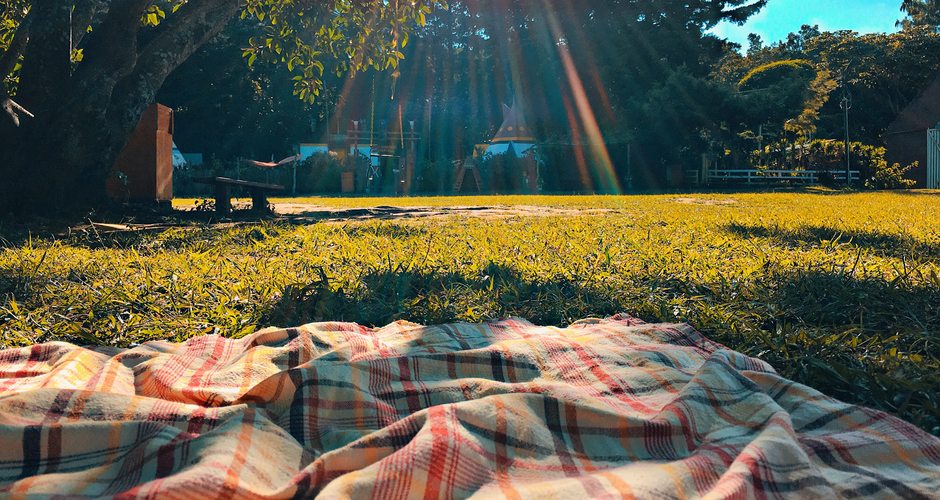 Picnic blanket on the grass