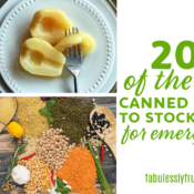 https://fabulesslyfrugal.com/wp-content/uploads/2020/08/20-of-the-best-canned-foods-to-stock-up-on-for-emergencies-175x175.png