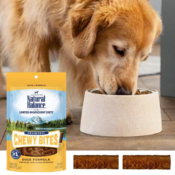 Amazon: Natural Balance Chewy Bites Dog Treats $2.20 (Reg. $7.99) + Free...