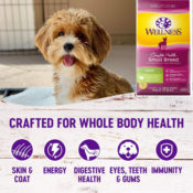 Today Only! Amazon: Wellness Complete Health Natural Dry Small Breed Dog...