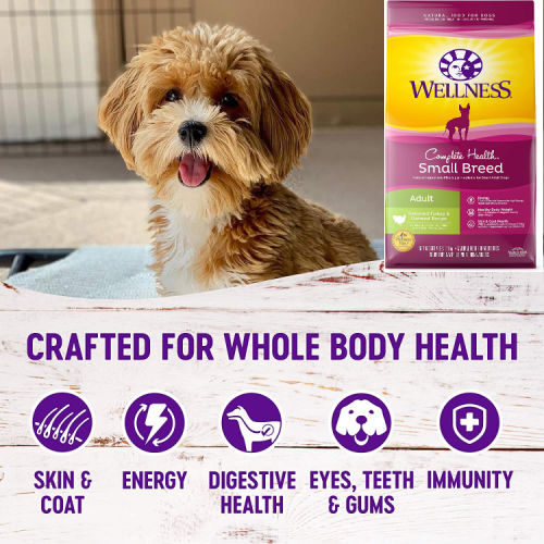 Today Only! Amazon: Wellness Complete Health Natural Dry Small Breed