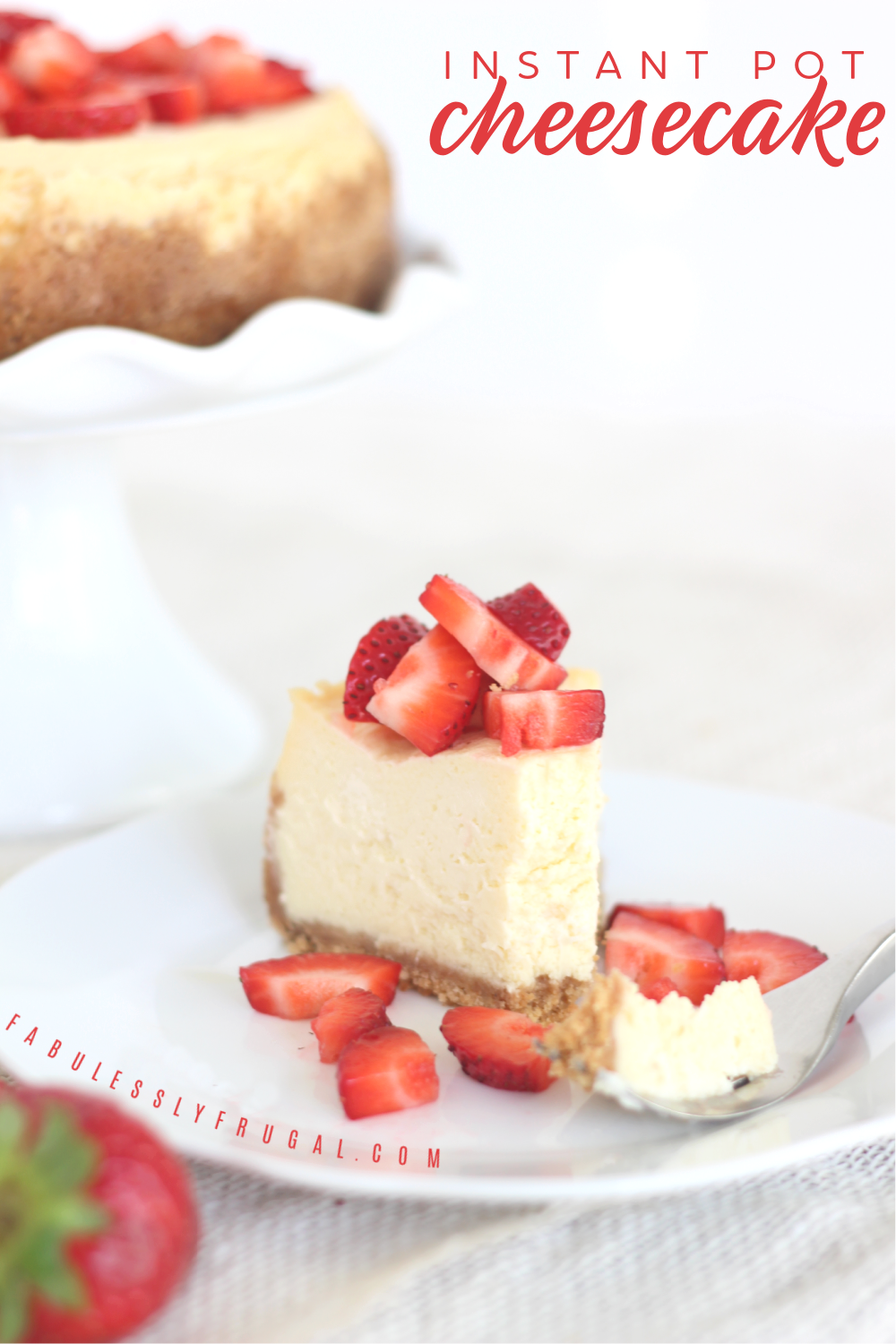 The Best Instant Pot Cheesecake of Your Dreams Recipe - Fabulessly Frugal