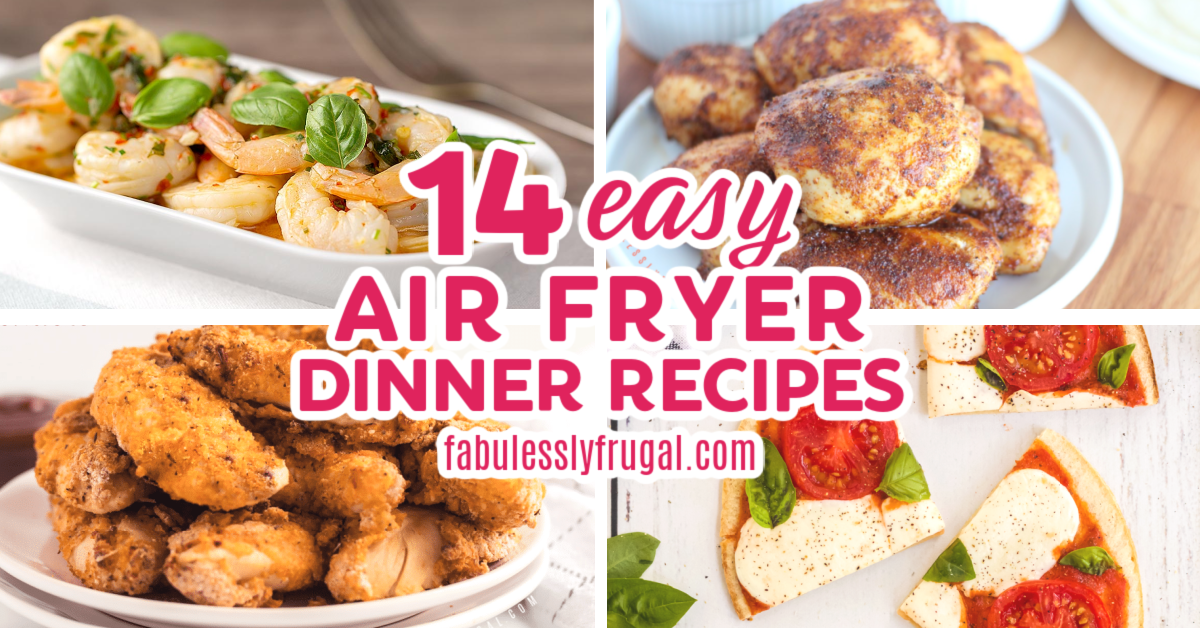 Air Fryer Recipes For Kids Recipe - Fabulessly Frugal