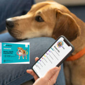 Today Only! Amazon: Save BIG on Embark Dog DNA and Breed Test Kits from...