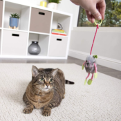 Amazon: SmartyKat Bouncy Mouse Cat Toy Bungee Toy as low as $1.87 (Reg....
