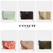 Coach Outlet: Coach Corner Zip Wristlet as low as $29 (Reg. $78) | 6 Color...
