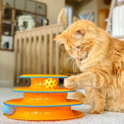 Amazon: Petstages Cat Tracks Cat Toy $10.99 (Reg. $24.99) - FAB Ratings!...