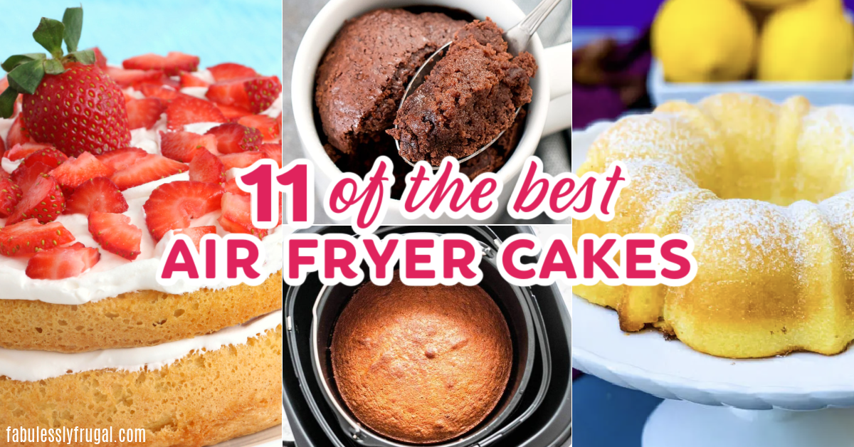 https://fabulesslyfrugal.com/wp-content/uploads/2021/01/11-of-the-best-air-fryer-cakes.png
