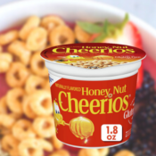12-Count Honey Nut Cheerios Cups Cereal with Oats as low as $7.12 Shipped...
