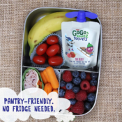 Amazon: 4-Pack GoGo squeeZ yogurtZ, Berry as low as $2.18 (Reg. $4) + Free...