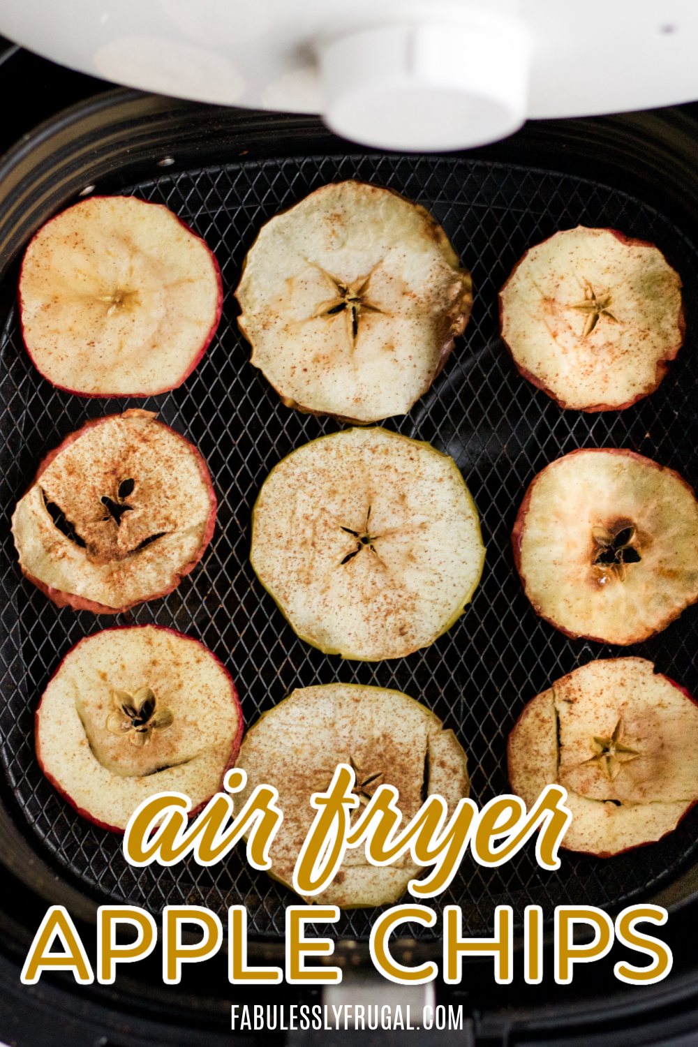 air fryer apple chips with cinnamon in the air fryer basket