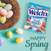 40 Count Welch’s Mixed Fruit Snacks $5.25 (Reg. $9.28) - FAB Ratings!...