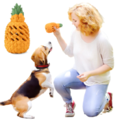 Amazon: Pineapple Dog Chew Toy $8.49 After Code (Reg. $16.98) - FAB Ratings!