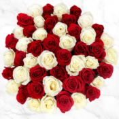 Costco: 17 Color Choices! 50-Count Fresh Roses $39.99 + Free Shipping |...