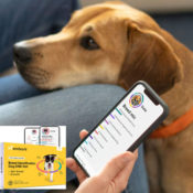 Today Only! Amazon: Embark Dog DNA Test | Breed Identification Kit $99...