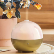 Target: Opalhouse Essential Oil Diffusers from $7.50 (Reg. $15+) | More...