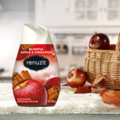 Amazon: 12-Count Renuzit Gel Air Freshener, Blissful Apple & Cinnamon as...